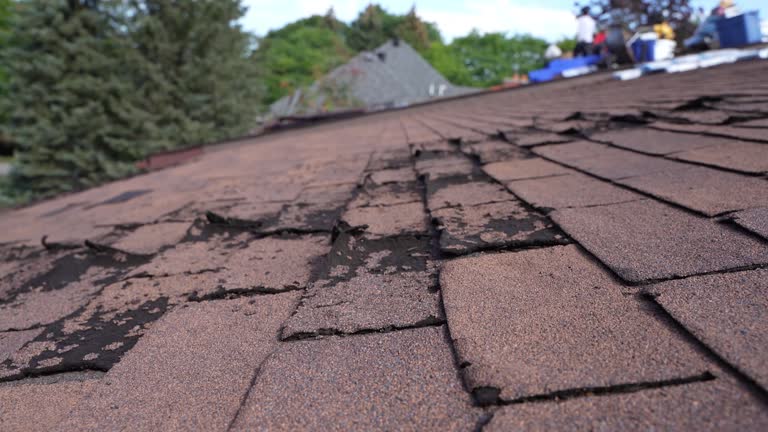 Best Rubber Roofing (EPDM, TPO)  in Byram, MS
