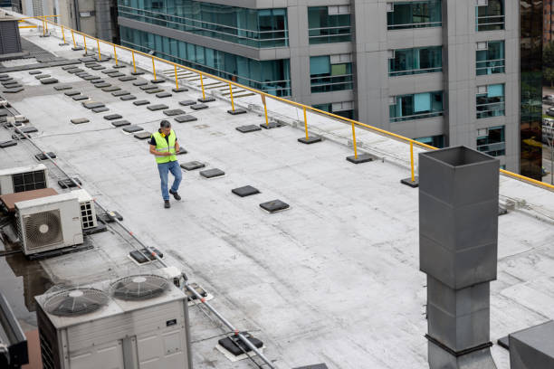 Best Skylight Installation and Repair  in Byram, MS